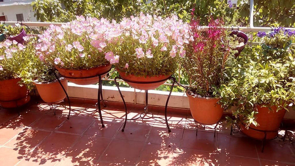 Cozy Maisonette Kamena Vourla Dış mekan fotoğraf
